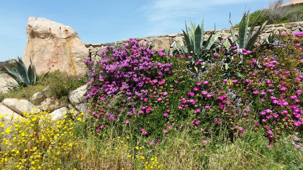 Casa Vacanze Della Maddalena Villa La Maddalena  Buitenkant foto